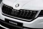 Skoda Kodiaq 2016 года (WW)